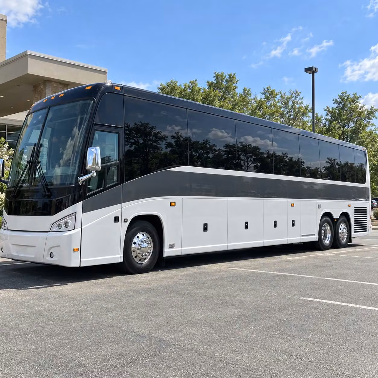 prom transportation in citrus heights runs on your schedule not ours